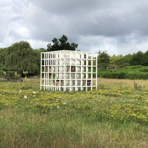 insect-societies-agnes-sawer-eglv