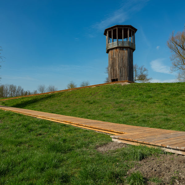 kawamata-baumers-eglv