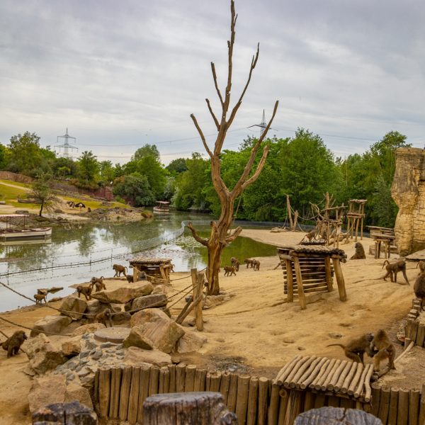 Emscher-Weg, Zoom-Erlebniswelt, Gelsenkirchen, Anette Reith, EGLV